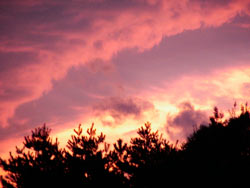 20070214_02_00.jpg