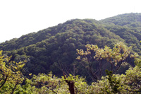 城山からの景色