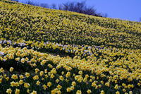 20080506_biwako_03_00.jpg