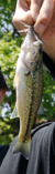 20080506_biwako_11_00.jpg