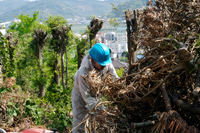 20080512_minoshima_02_00.jpg